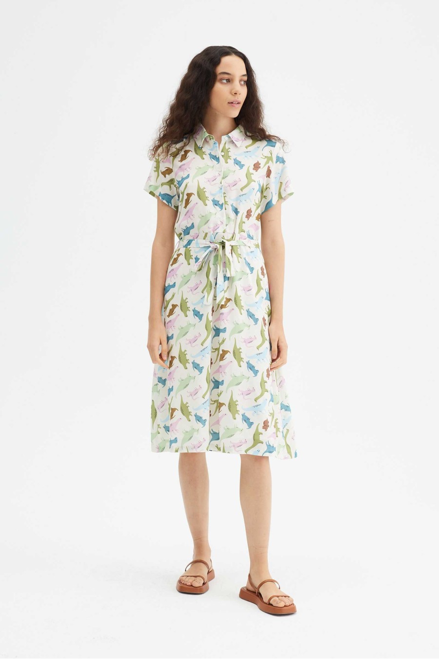 Dinosaur Print Midi Dress